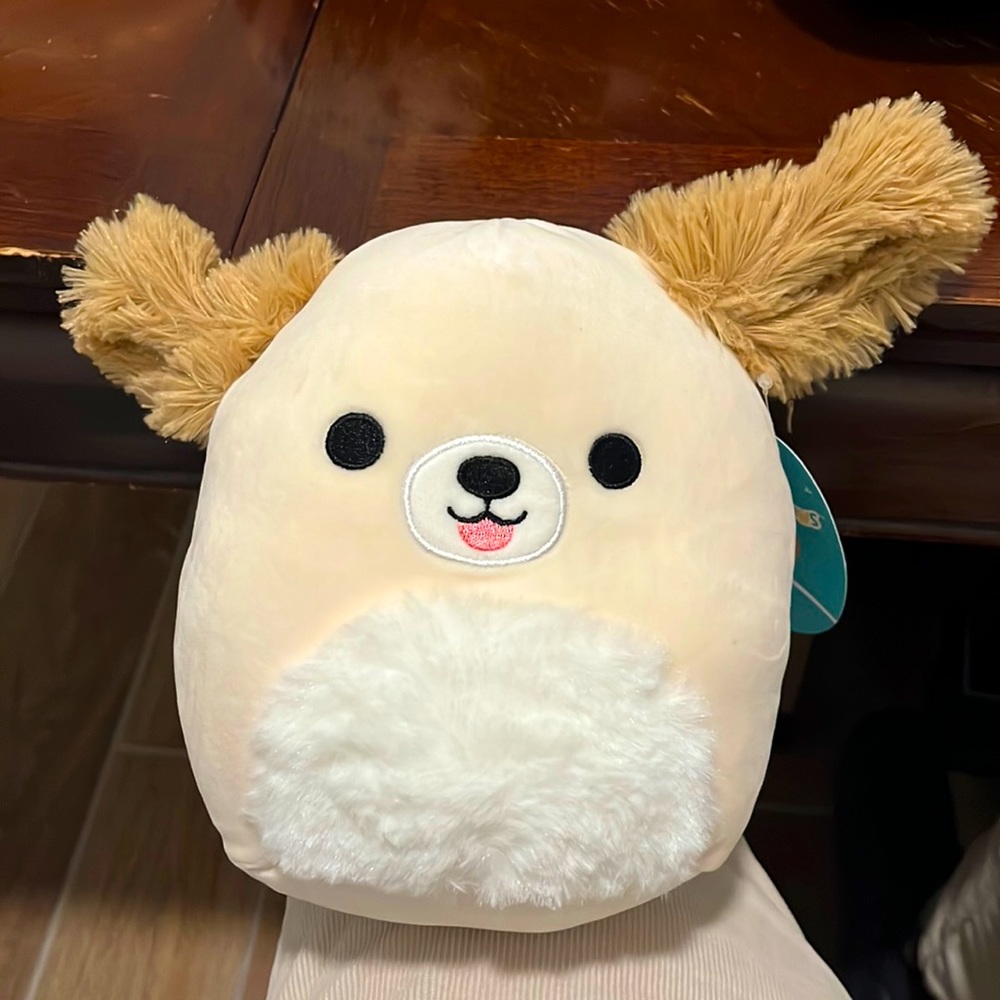 Squishmallows 7" Meggie The Maltipoo